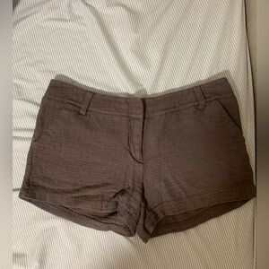 Mossimo Dark Brown Women's Shorts